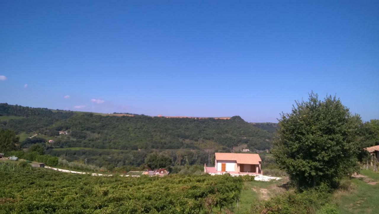 Agriturismo La Vite E L'Ulivo Apartment Baschi Exterior photo